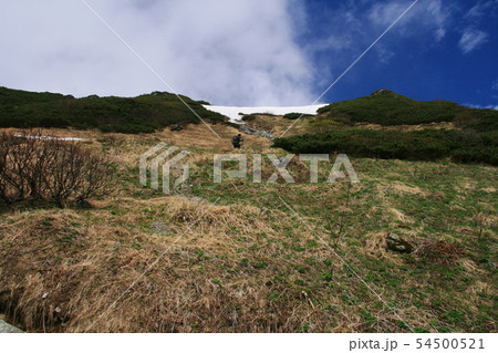 南アルプス　白峰三山テント縦走　白根御池から北岳への登り　草スベリ 54500521