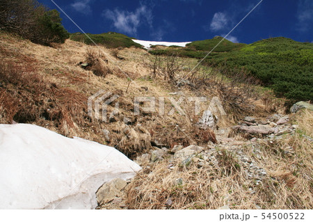 南アルプス　白峰三山テント縦走　白根御池から北岳への登り　草スベリ 54500522