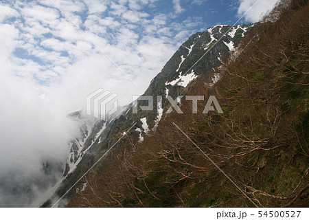 南アルプス　白峰三山テント縦走　白根御池から北岳への登り　北岳バットレスを仰ぎ見る 54500527