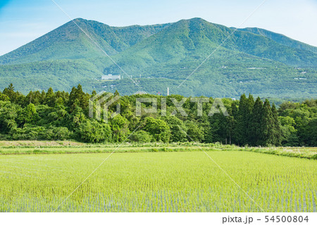 春の那須岳、茶臼岳、那須高原から那須岳、青空の那須岳、快晴、那須の山々、那須高原、那須の自然、 春の那須岳、茶臼岳、那須高原から那須岳、青空の那須岳、快晴、那須の山々、那須高原、那須の自然、 54500804