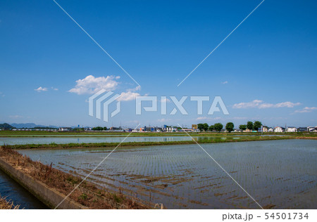 道の駅にしかた付近 田園風景 日光方面方面  栃木県 道の駅にしかた付近 田園風景 日光方面方面  栃木県 54501734
