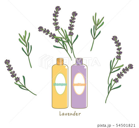 ラベンダーのシャンプー＆コンディショナー 54501821