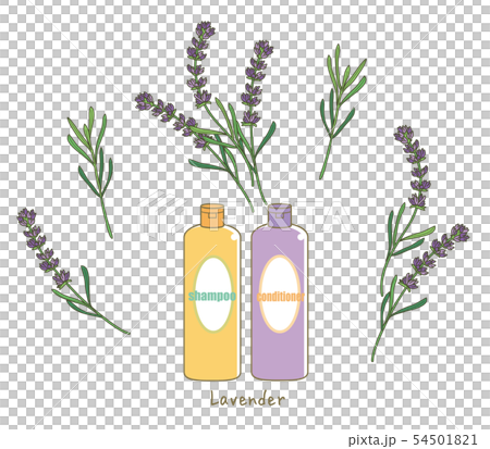 ラベンダーのシャンプー＆コンディショナー 54501821