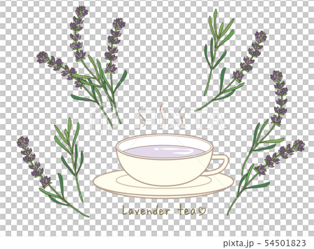 ラベンダーティー ハーブティーのイラスト素材