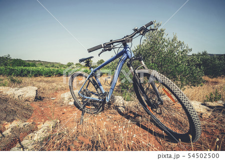 Mountain bike cycling on nature landscape. 54502500