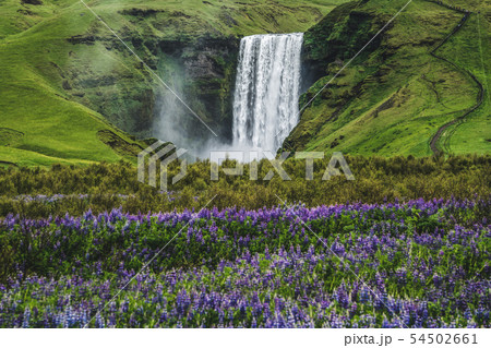 Skogafoss Waterfall in Iceland in Summer. Skogafoss Waterfall in Iceland in Summer. 54502661