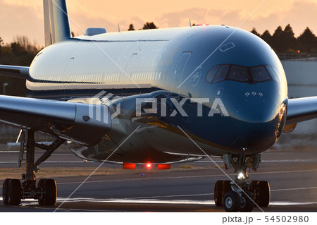 タキシング タキシング 54502980