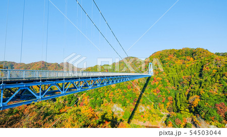 竜神大吊橋・秋 竜神大吊橋・秋 54503044
