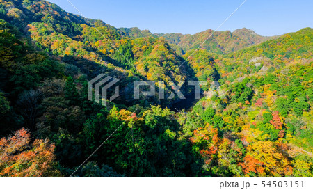 竜神大吊橋からの風景・秋 54503151