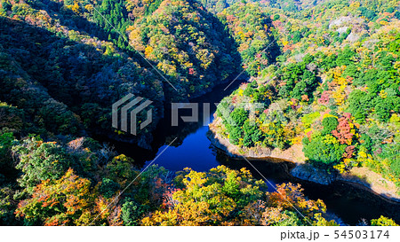 竜神大吊橋からの風景・秋 竜神大吊橋からの風景・秋 54503174