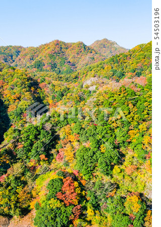 竜神大吊橋からの風景・秋 54503196