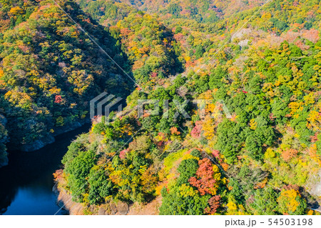 竜神大吊橋からの風景・秋 竜神大吊橋からの風景・秋 54503198