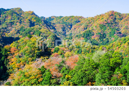 竜神大吊橋からの風景・秋 竜神大吊橋からの風景・秋 54503203