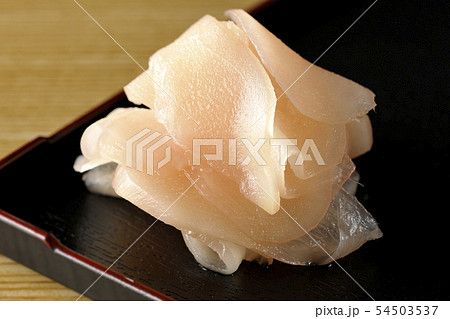 ガリ 54503537