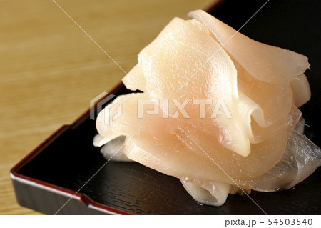 ガリ 54503540