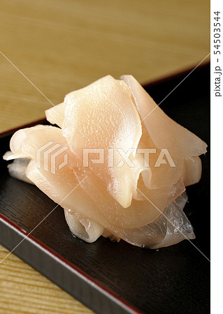 ガリ 54503544