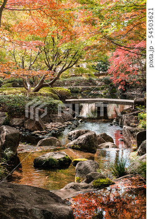 大田黒公園 紅葉の写真素材