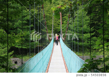 南アルプス 白峰三山テント縦走 広河原の吊り橋 南アルプス 白峰三山テント縦走 広河原の吊り橋 54503656