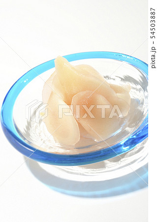 涼しげな器とガリ 涼しげな器とガリ 54503887
