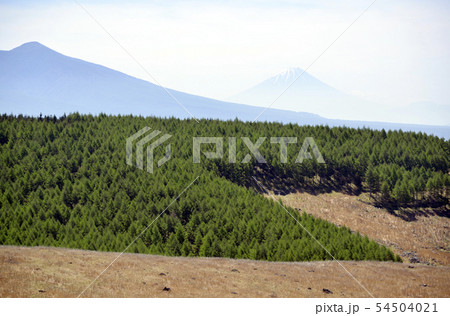 富士山を望む 54504021