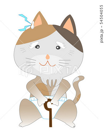 高齢になった猫 高齢になった猫 54504055