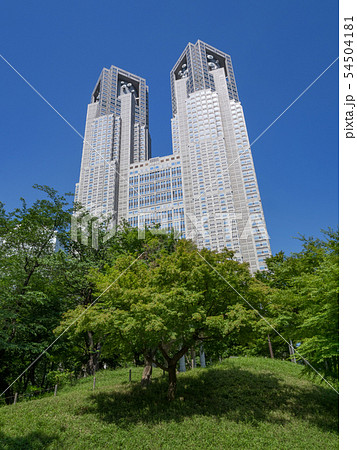 新宿中央公園から眺めた東京都庁舎 54504181