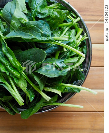 韓国 アジア 日本の 54504222