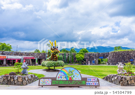 国営讃岐まんのう公園 国営讃岐まんのう公園 54504799