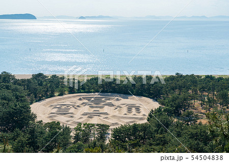 琴弾公園 54504838