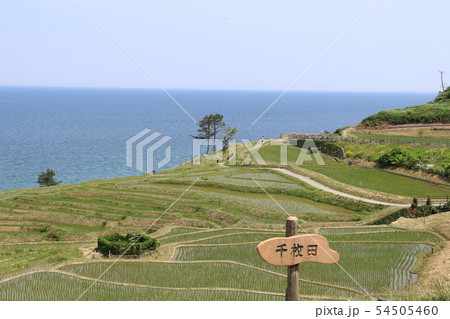 石川県、輪島市、白米町、千枚田 54505460