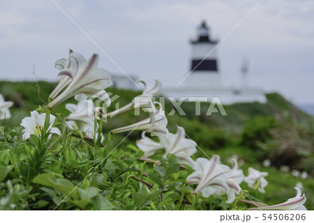 人々 人 人物 54506206