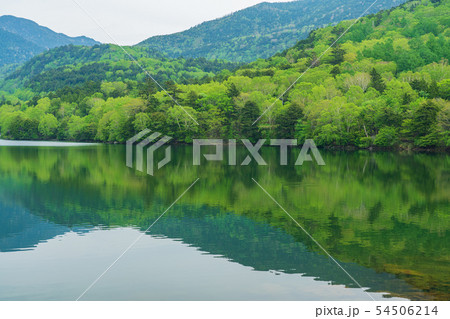 （栃木県）新緑の奥日光　湯ノ湖 54506214