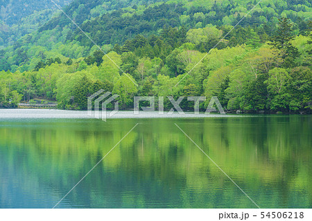 （栃木県）新緑の奥日光　湯ノ湖 54506218