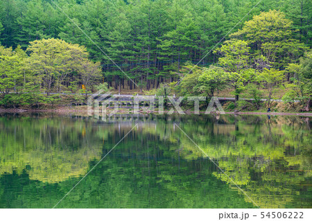 （栃木県）新緑の奥日光　湯ノ湖　湯ノ湖で釣りをする人 54506222