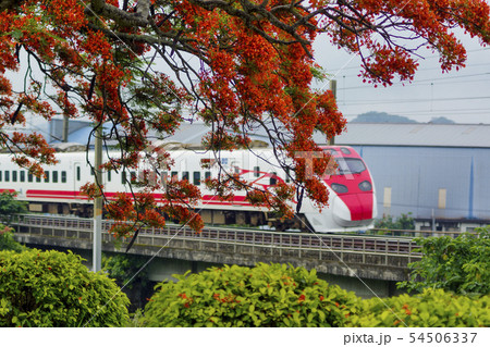 人々 人 人物 54506337