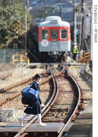 神戸電鉄メモリアルトレイン 神戸電鉄メモリアルトレイン 54506421