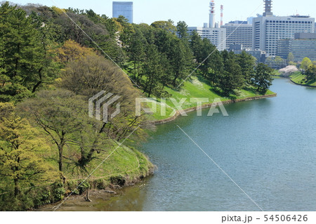 新緑の桜田濠と霞が関官庁街 54506426