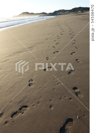 サーフェーの足跡（釣ケ崎海岸　九重久里浜） 54506470