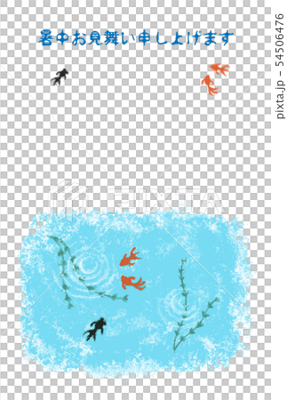 パステル画風金魚と水草の暑中見舞いイラスト パステル画風金魚と水草の暑中見舞いイラスト 54506476