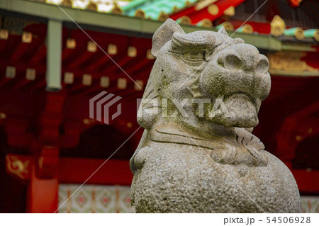 神社仏閣 信仰 宗教 伝統 日本文化 神田明神 千代田区 東京 狛犬 石像 神社仏閣 信仰 宗教 伝統 日本文化 神田明神 千代田区 東京 狛犬 石像 54506928