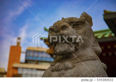 神社仏閣　信仰　宗教　伝統　日本文化　神田明神　千代田区　東京　狛犬　石像 54506933