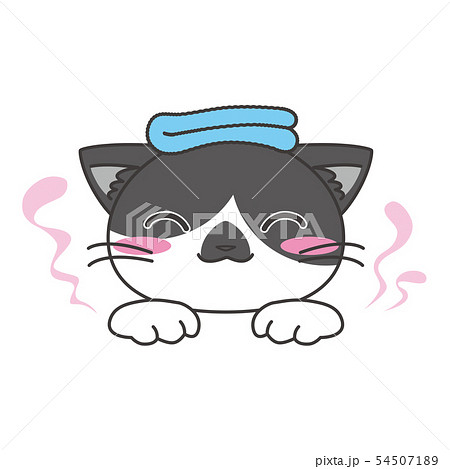 スタンプ風アイコン 猫 白黒「お風呂」 スタンプ風アイコン 猫 白黒「お風呂」 54507189