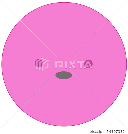 キングペンギンのヒナ(シンプル桃) キングペンギンのヒナ(シンプル桃) 54507332