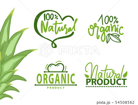 Healthy Symbol, Organic Product, Eco Logo Vector 54508562