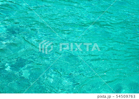 清流33 清流33 54509763