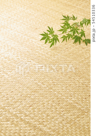 網代-青紅葉-背景素材 網代-青紅葉-背景素材 54510336
