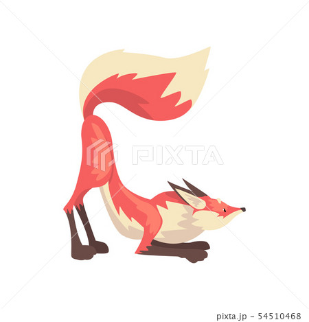 Cunning Red Fox Character Cartoon Vector のイラスト素材