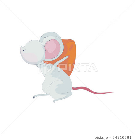 Cute cartoon rat carries a large piece of cheese. Vector illustration on white background. Cute cartoon rat carries a large piece of cheese. Vector illustration on white background. 54510591