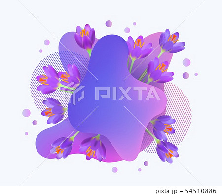 Flourish and abstract blob or spots elements the vector illustration isolated. Flourish and abstract blob or spots elements the vector illustration isolated. 54510886