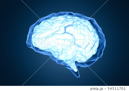 Blue polygonal brain Blue polygonal brain 54511701